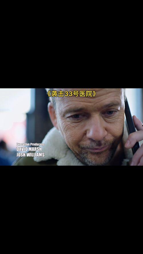 33视频电影在线观看,在线观影新体验，畅享海量影视盛宴